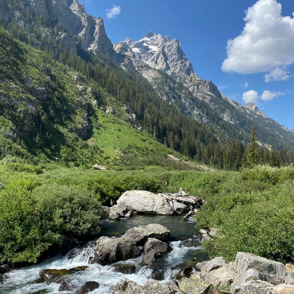 Meet your Posher, April - Picture 1 of 1